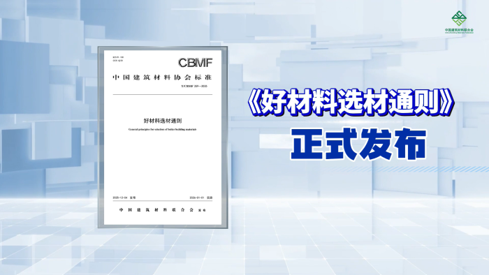 标准化进程